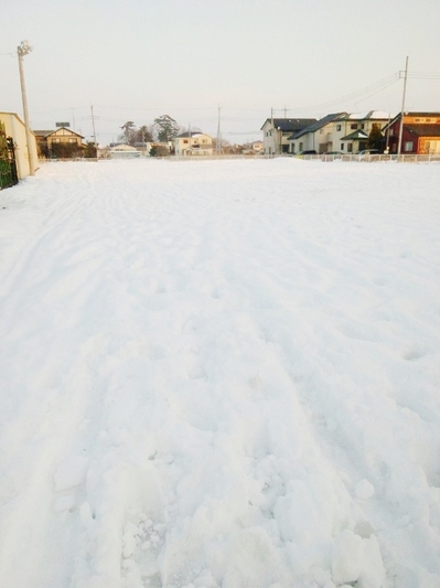 DSC_1779 (480x640).jpg