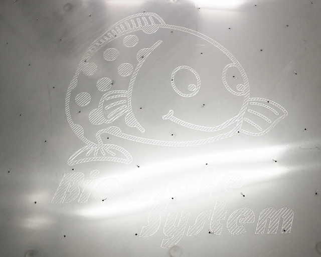 P1040713 (640x513).jpg